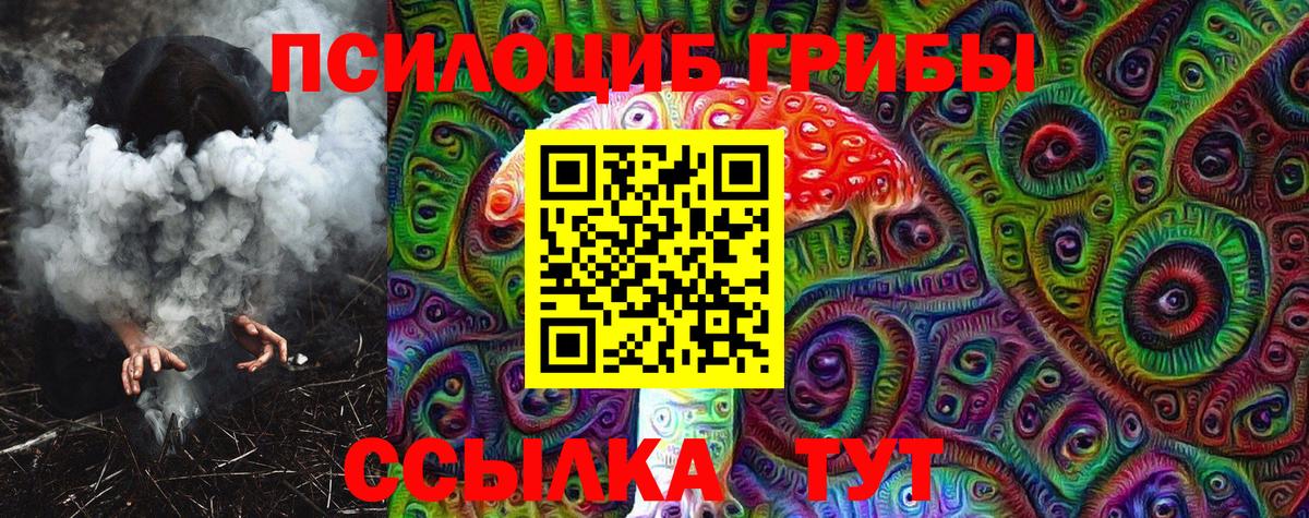Псилоцибиновые грибы GOLDEN TEACHER Менделеевск
