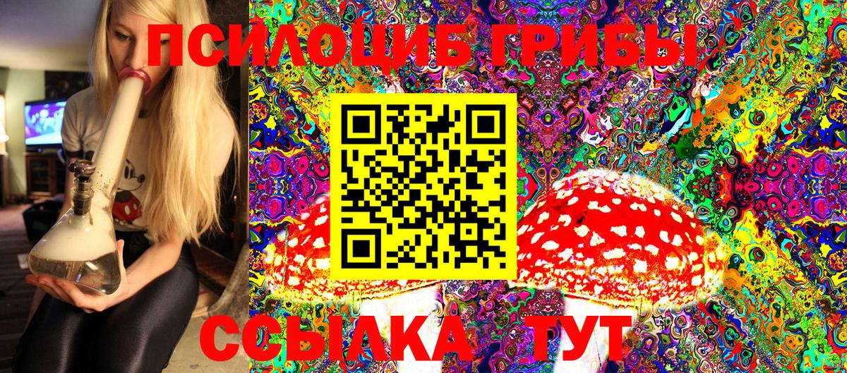 Псилоцибиновые грибы Magic Shrooms  Вход с VPN  Менделеевск  Галлюциногенные грибы Psilocybe 